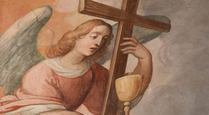 Vincenzo Capocasale delegato ai Rapporti con il Clero e la Famiglia dal Movimento NOI