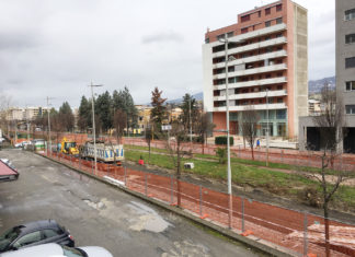 Il Legale di Milena Gabriele: il Comune di Cosenza obbedisca al TAR Viale Mancini - Cosenza