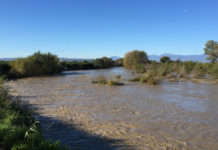 NOI Rende: l’allarme del Procuratore Spagnuolo sull’Ambiente impone azioni politiche precise Fiume Crati