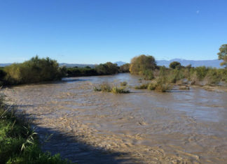 NOI Rende: l’allarme del Procuratore Spagnuolo sull’Ambiente impone azioni politiche precise Fiume Crati