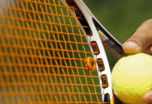 Rende: Manna inciampa su palla da tennis. Ora la Metro potrebbe travolgerlo Il Tennis