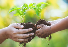 Movimento NOI: basta cemento! A Cosenza stanno distruggendo l’Ambiente ambiente,tutela,movimento noi