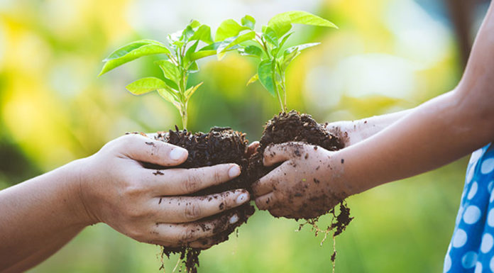 Movimento NOI: basta cemento! A Cosenza stanno distruggendo l’Ambiente ambiente,tutela,movimento noi