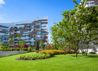 Movimento NOI: “Forestazione urbana e Albo degli artisti” nel nostro futuro Verde pubblico e rigenerazione della Città