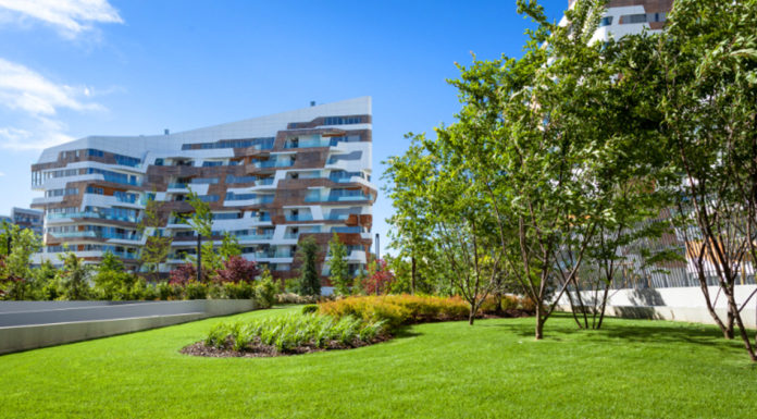 Movimento NOI: “Forestazione urbana e Albo degli artisti” nel nostro futuro Verde pubblico e rigenerazione della Città