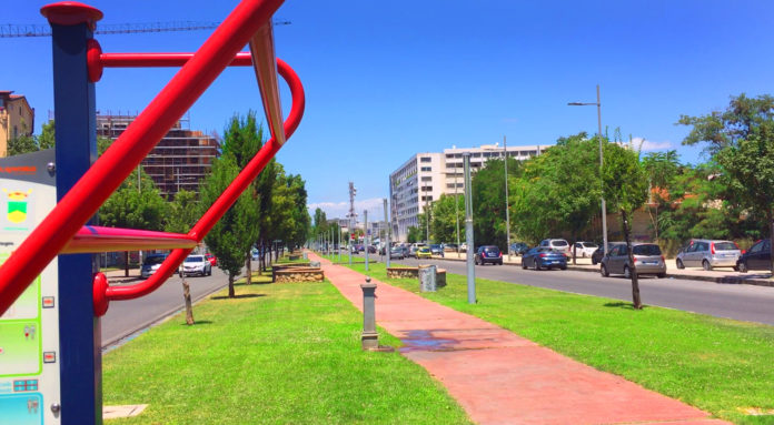 Il Viale Mancini detto 