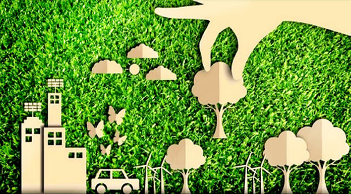 Basta Cemento. Movimento NOI annuncia “forestazione Città e “Albo Artisti” Movimento NOI: sono urgenti progetti di rigenerazione urbana