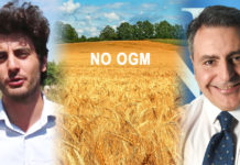 Fabio Gallo: il Ministro ci vuole avvelenare? sosteniamo l’allarme di Caccavari. stefano caccavari, mulinum,fabio gallo,,movimento noi