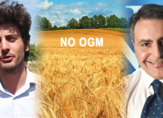 Fabio Gallo: il Ministro ci vuole avvelenare? sosteniamo l’allarme di Caccavari. stefano caccavari, mulinum,fabio gallo,,movimento noi