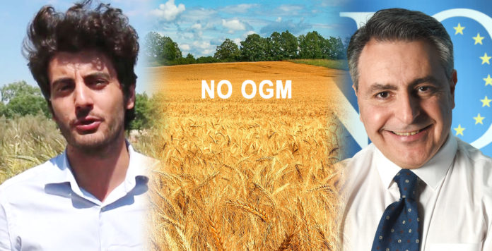stefano caccavari, mulinum,fabio gallo,,movimento noi