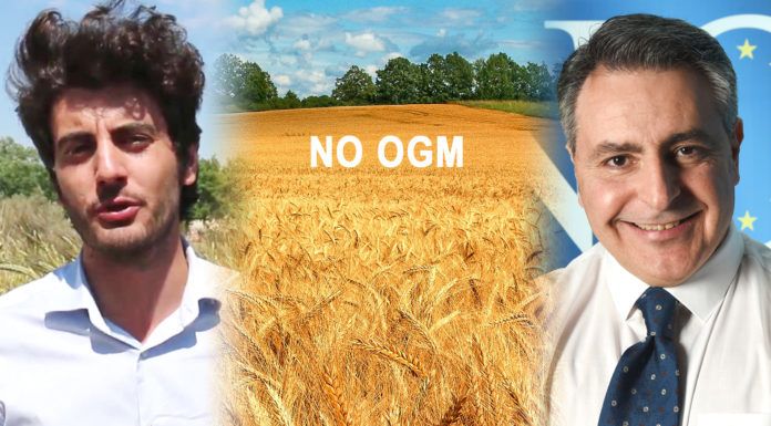 Fabio Gallo: il Ministro ci vuole avvelenare? sosteniamo l’allarme di Caccavari. stefano caccavari, mulinum,fabio gallo,,movimento noi