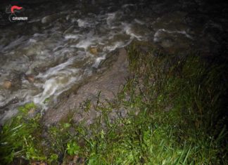 Veleno a Bisignano: Dipartimento Ambiente del Movimento NOI chiede l’intervento dell’Assessore Regionale De Caprio Operazione "Arsenico" - Fiume Mucone - Febbraio 2020