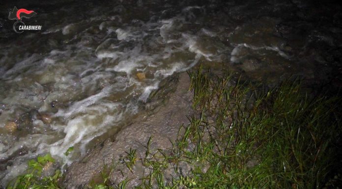 Veleno a Bisignano: Dipartimento Ambiente del Movimento NOI chiede l’intervento dell’Assessore Regionale De Caprio Operazione "Arsenico" - Fiume Mucone - Febbraio 2020