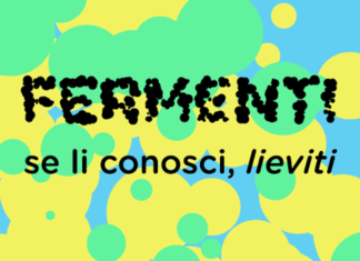 Cosenza: Movimento NOI porta concrete opportunità di sviluppo di nuove economie e lavoro. Questa volta tra i Giovani in fermento. Fermenti Bando per i giovani