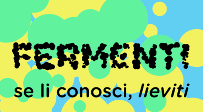 Cosenza: Movimento NOI porta concrete opportunità di sviluppo di nuove economie e lavoro. Questa volta tra i Giovani in fermento. Fermenti Bando per i giovani