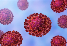 Calabria, nuovo Corona virus – COVID 19: Movimento NOI alla Politica Regionale e Locale