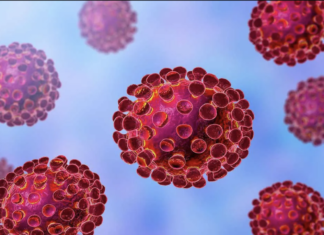 Calabria, nuovo Corona virus – COVID 19: Movimento NOI alla Politica Regionale e Locale