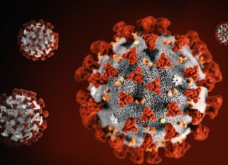 Covid19: senza autopsie ai morti la fase 2 sarà una strage Covid 19