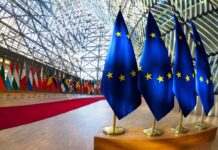 Movimento NOI: “NOI” per una nuova Europa Il Movimento NOI per una nuova Europa