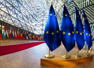 Movimento NOI: “NOI” per una nuova Europa Il Movimento NOI per una nuova Europa