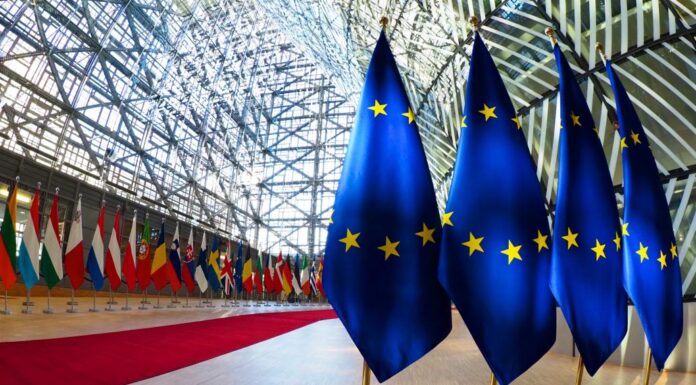 Movimento NOI: “NOI” per una nuova Europa Il Movimento NOI per una nuova Europa