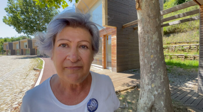 Maria Luisa Celani, Movimento NOI su Emergenza rifugiati Ucraini