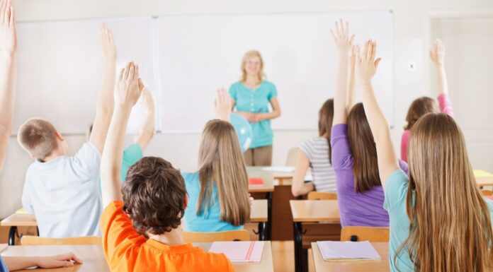 Torna la scuola d’estate