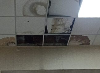 Le scuole di Cosenza cadono a pezzi. Il Movimento NOI interviene