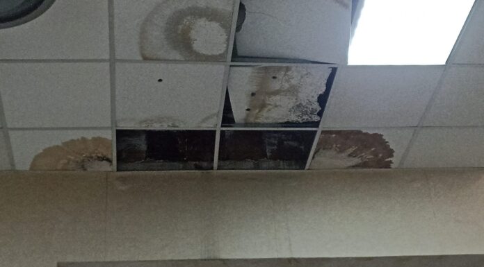 Le scuole di Cosenza cadono a pezzi. Il Movimento NOI interviene