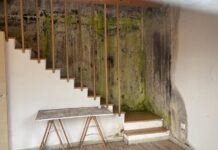 I Popolari del Movimento NOI tornano sui Bocs Art segno di degrado e malapolitica