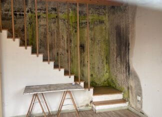 I Popolari del Movimento NOI tornano sui Bocs Art segno di degrado e malapolitica