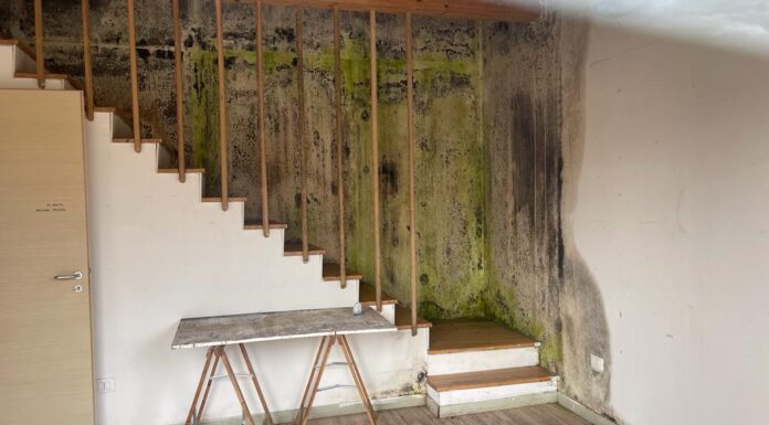 I Popolari del Movimento NOI tornano sui Bocs Art segno di degrado e malapolitica