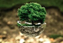 A Cerisano il Convegno sul tema “Custodi del Creato”. Al centro la tutela dell’Ambiente della salute umana. Cerisano convegno sul tema dell'Ambiente