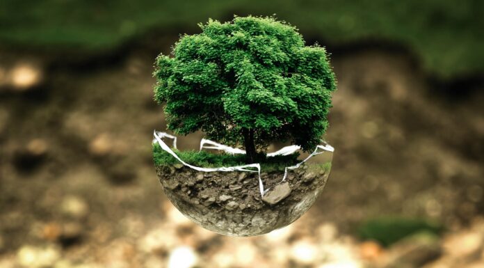 A Cerisano il Convegno sul tema “Custodi del Creato”. Al centro la tutela dell’Ambiente della salute umana. Cerisano convegno sul tema dell'Ambiente